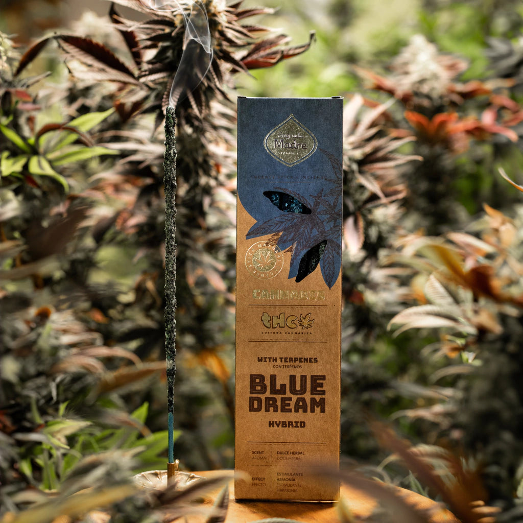 Sahumerio Blue Dream Cannabis