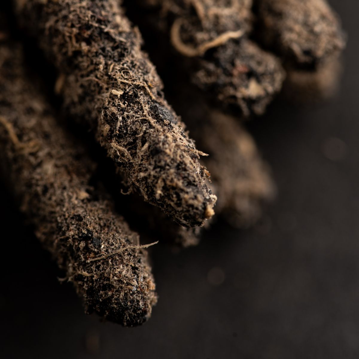 Sahumerio Cosmos Mercurio