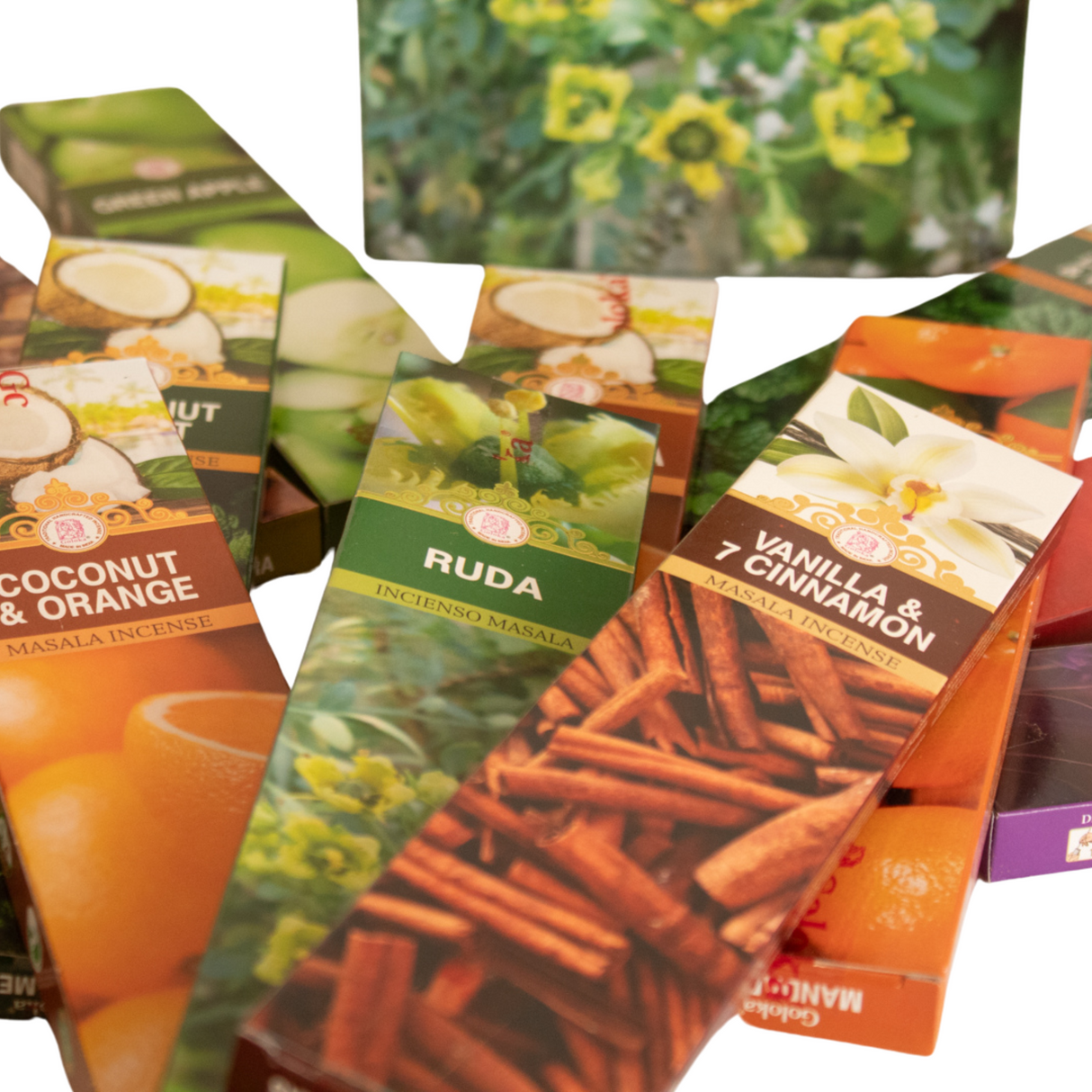 Pack Regalo Economic Line