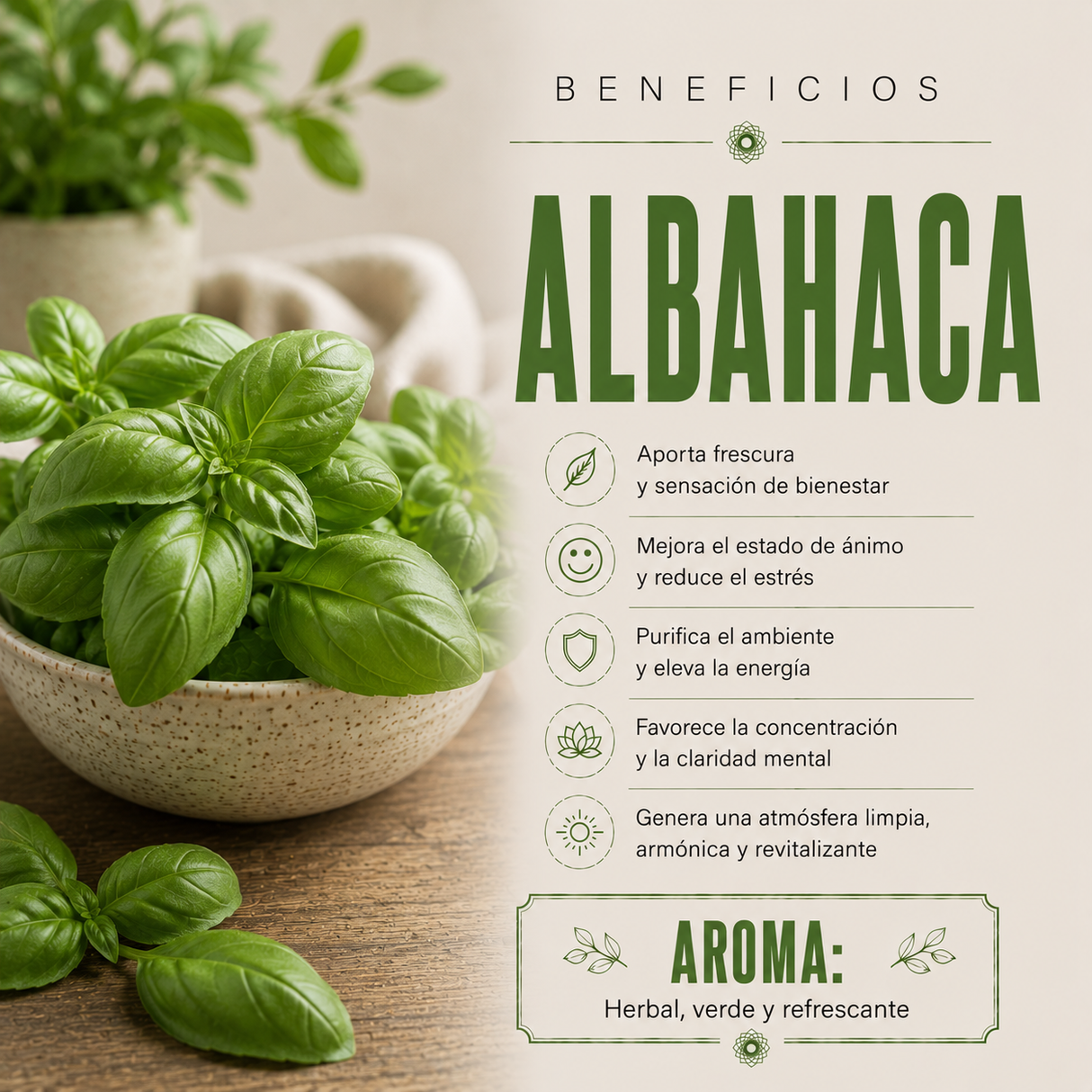Aceite Aromático Albahaca