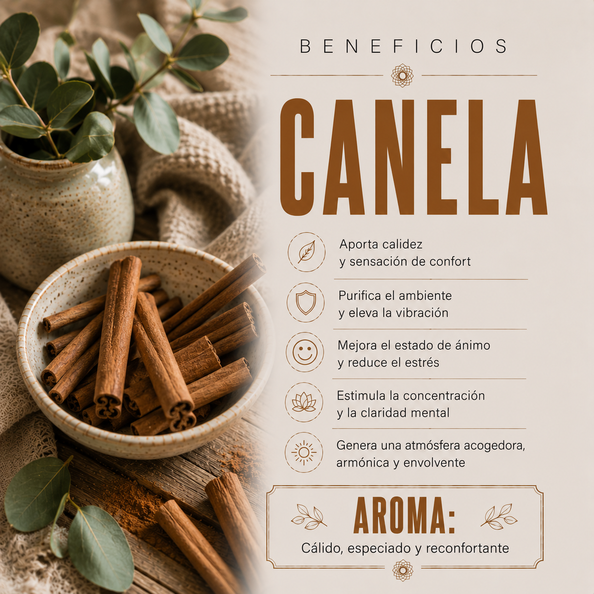 Aceite Aromático Canela