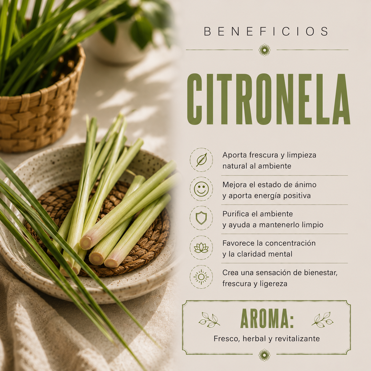 Incienso Fit Citronela