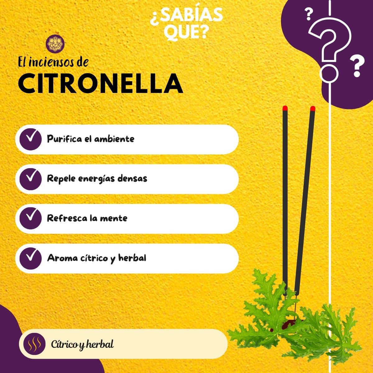 Incienso Jumbo Citronela