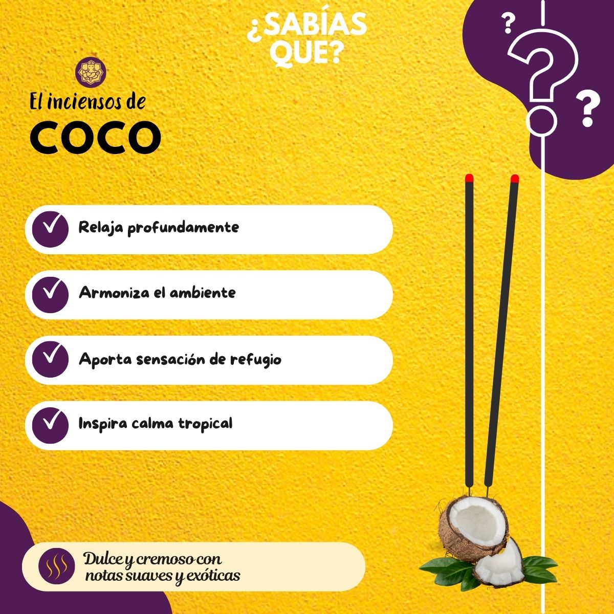 Incienso en Cono Coco