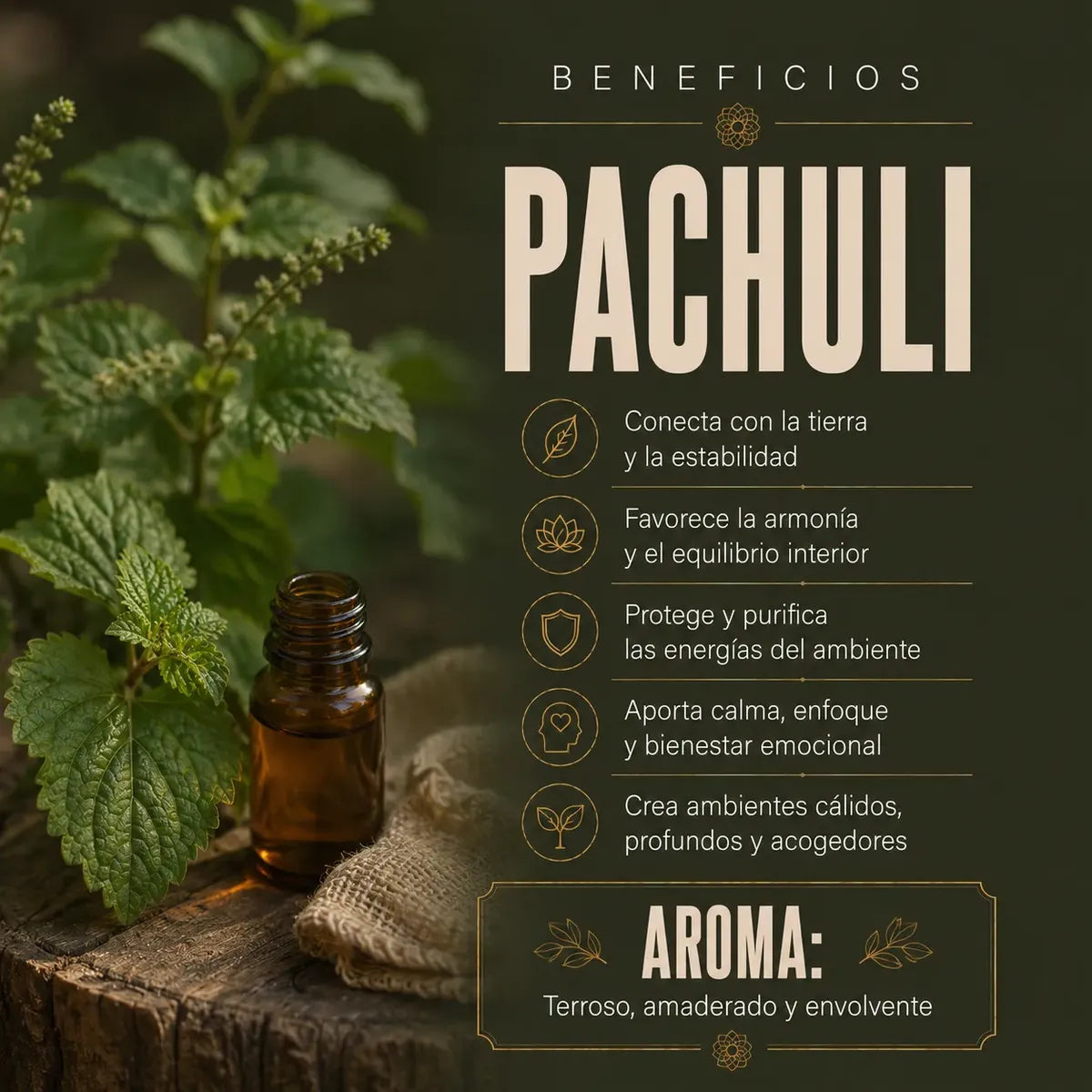 Incienso Premium Patchouli