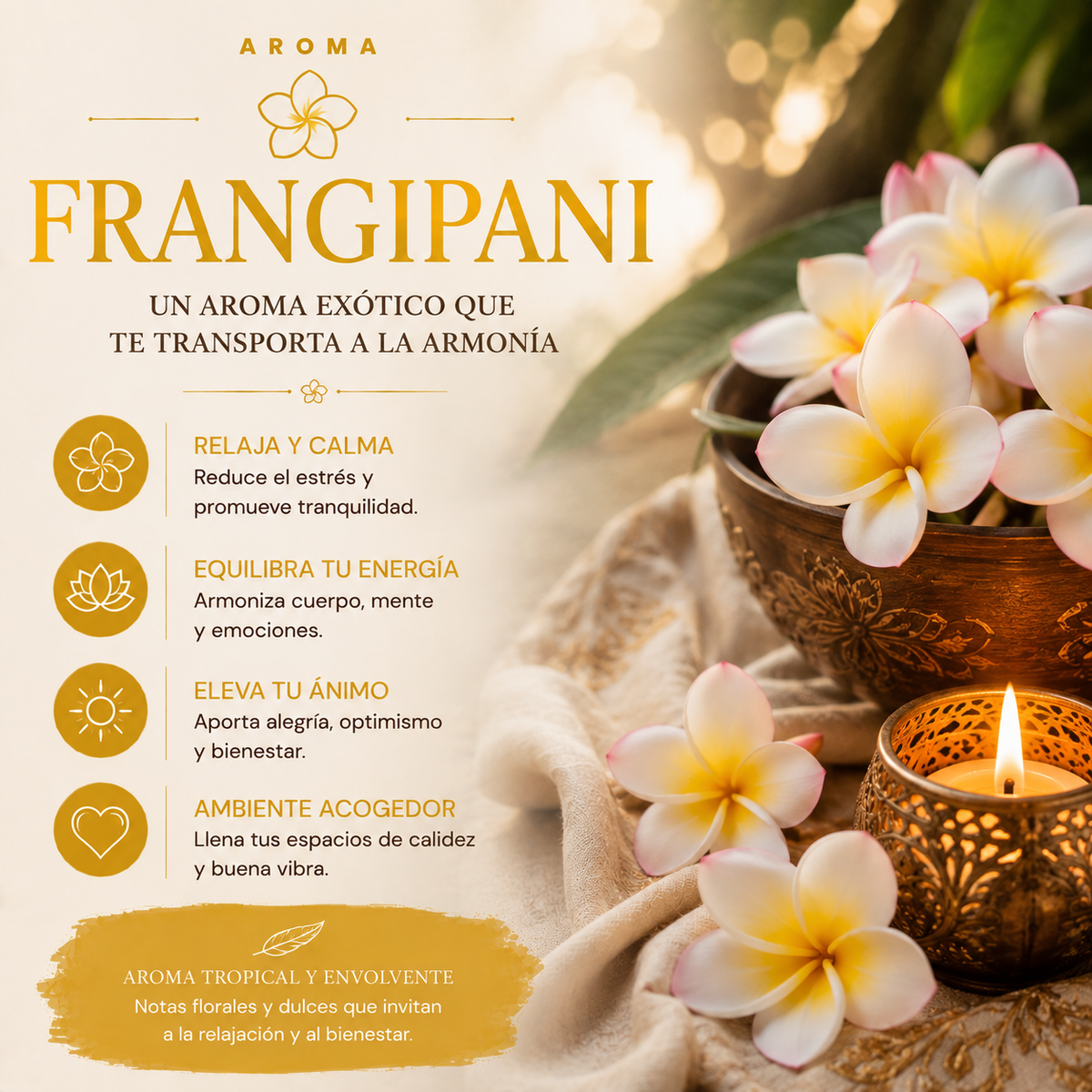Incienso Orgánico Frangipani