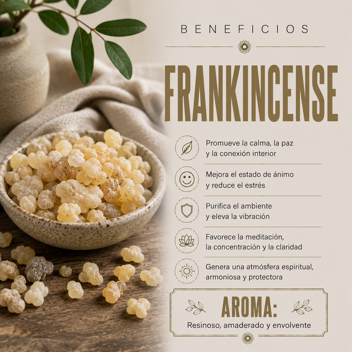 Incienso Frankincense con Turmalina Negra