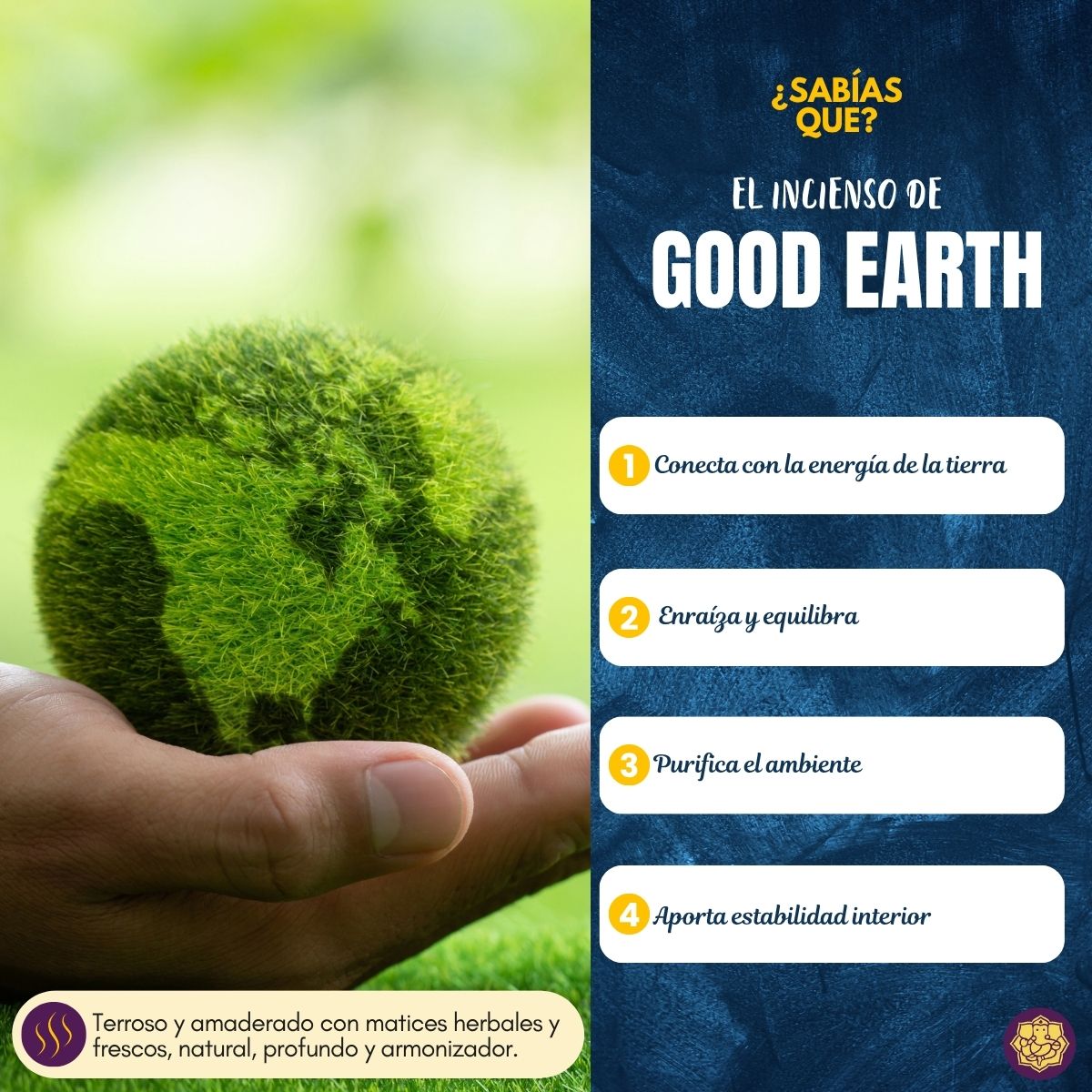 Incienso Premium Good Earth