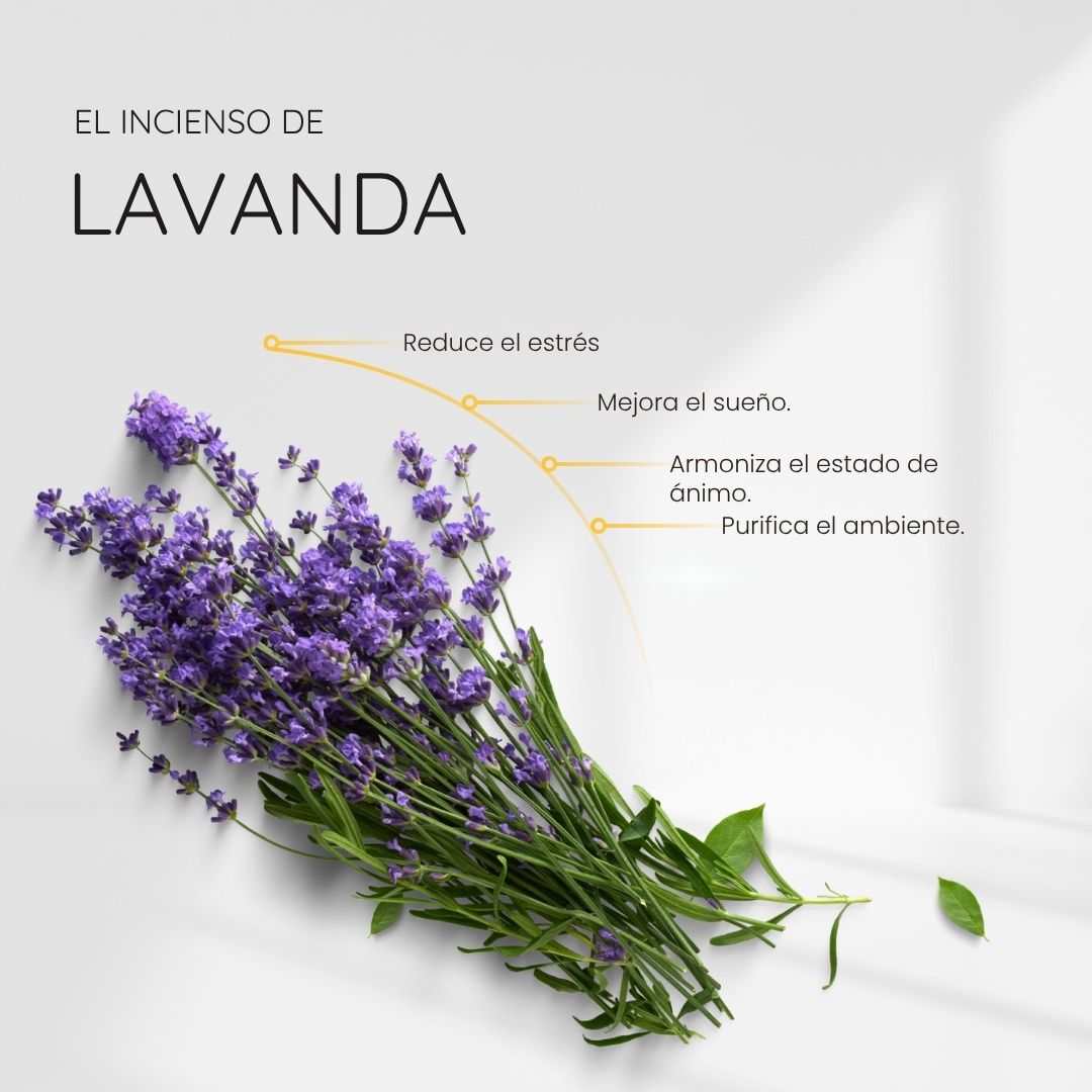 Incienso Zorro - Lavanda