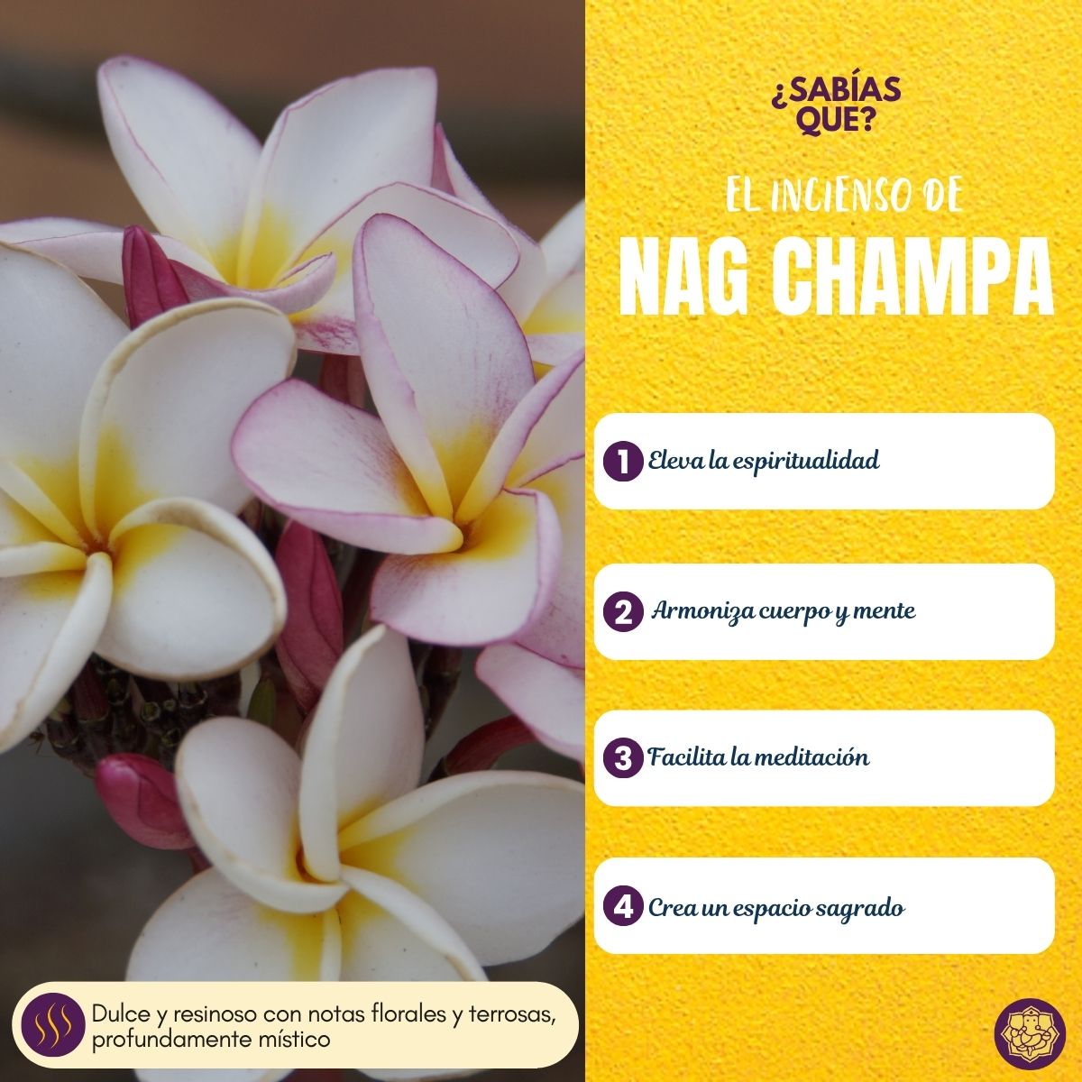 Incienso Cascada Nag Champa Amarillo 24Conos