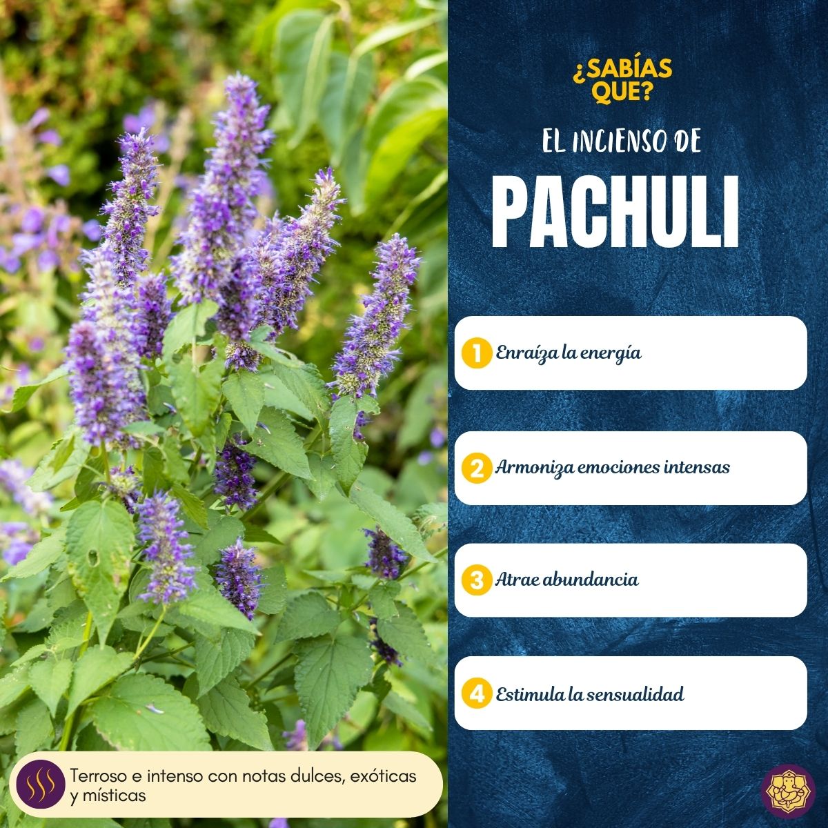 Incienso Cascada Golden Indian Patchouli 120Conos