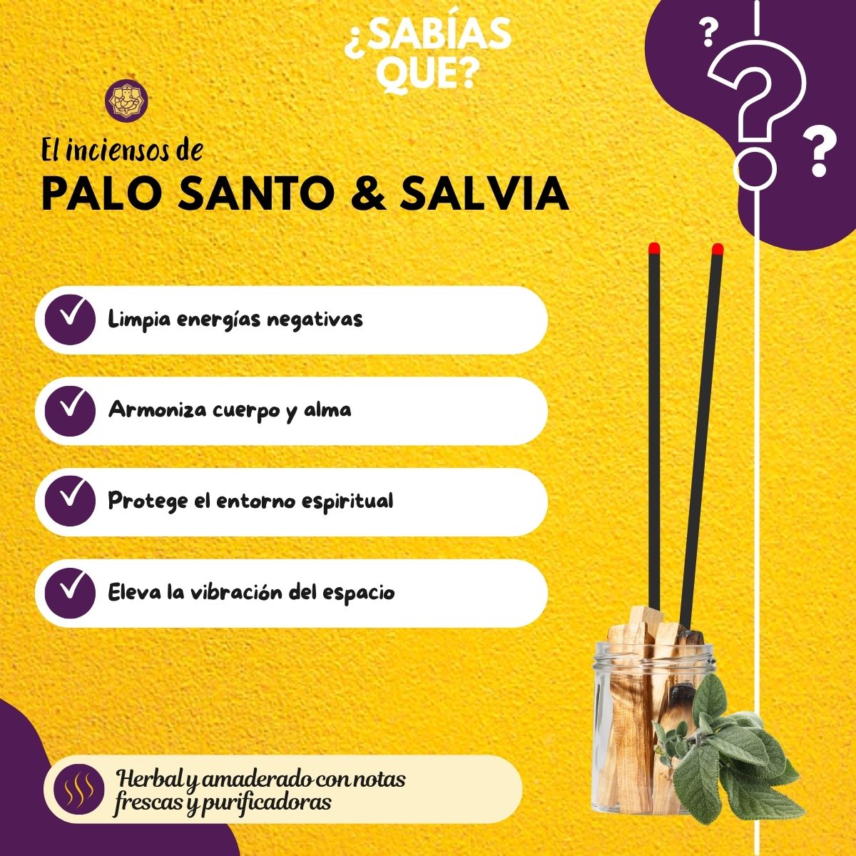 Incienso Cascada Salvia Blanca + Palo Santo 120Conos