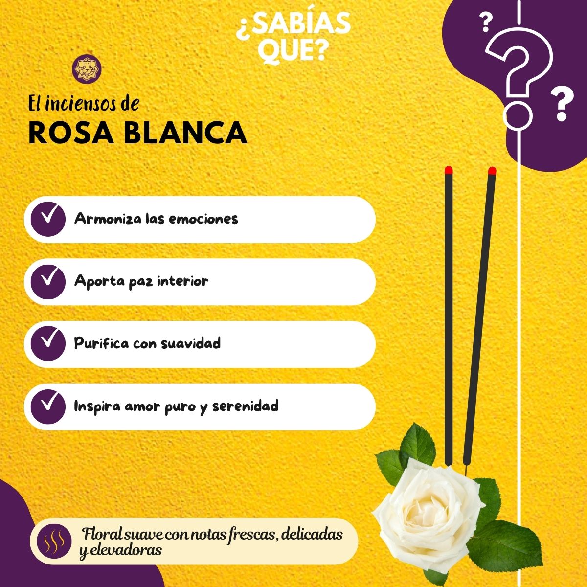Incienso Masala Rosa Blanca