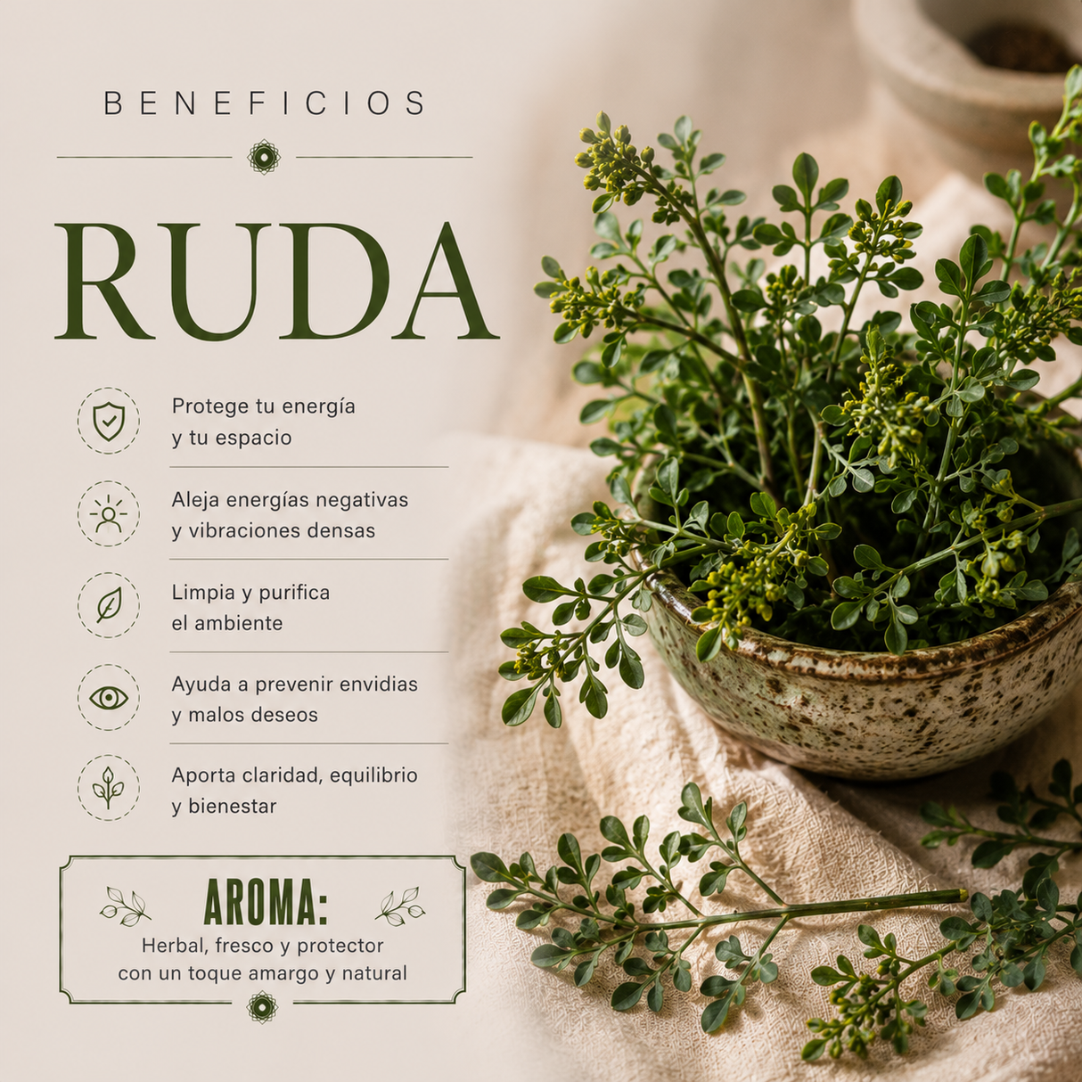 Copitas de Incienso Ruda 12 copas