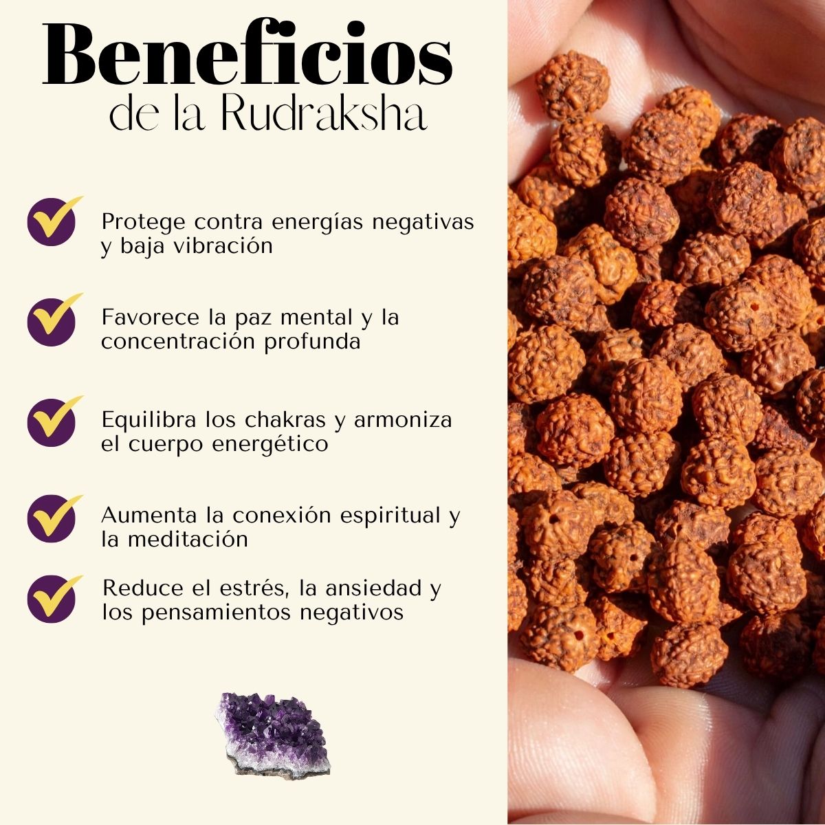 Pulsera Japa Mala Rudraksha 1.2 cm