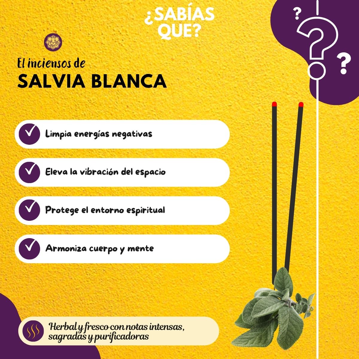 Incienso en Cono Salvia Blanca