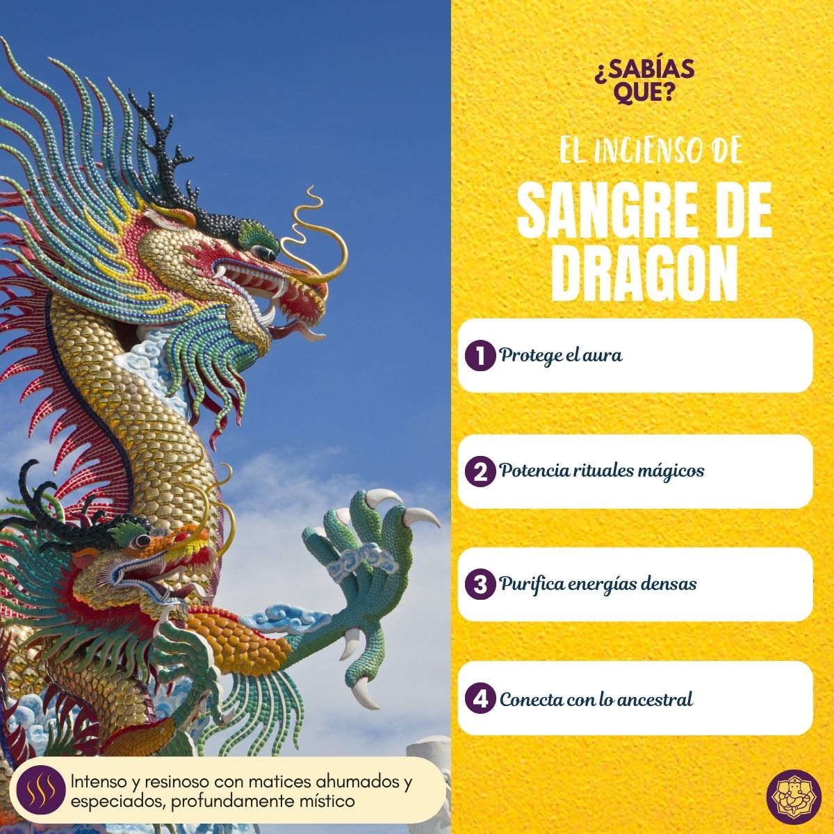 Incienso Cascada Sangre de Dragon 120 conos