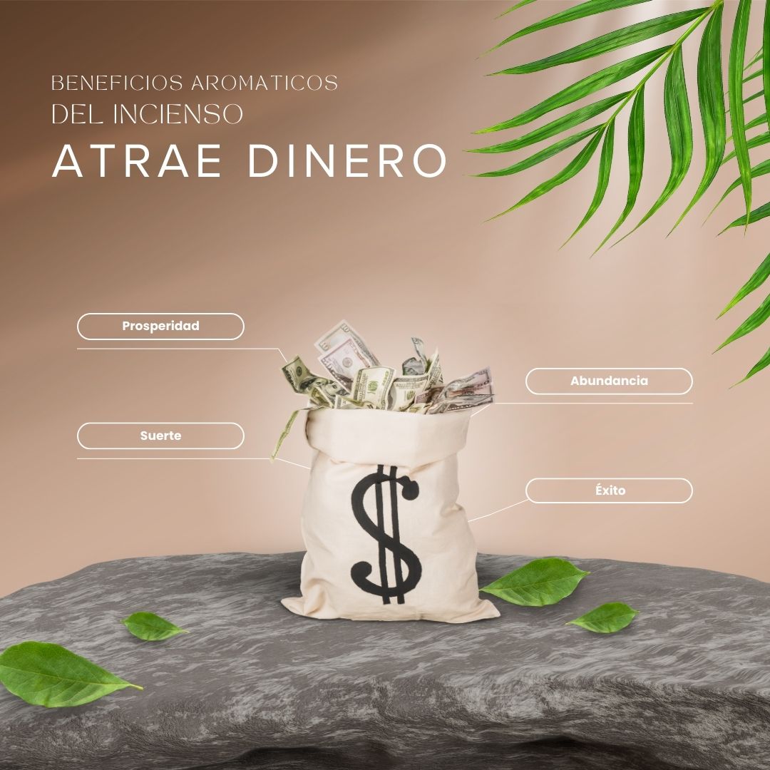 Palo Santo Buena Onda Atrae Dinero