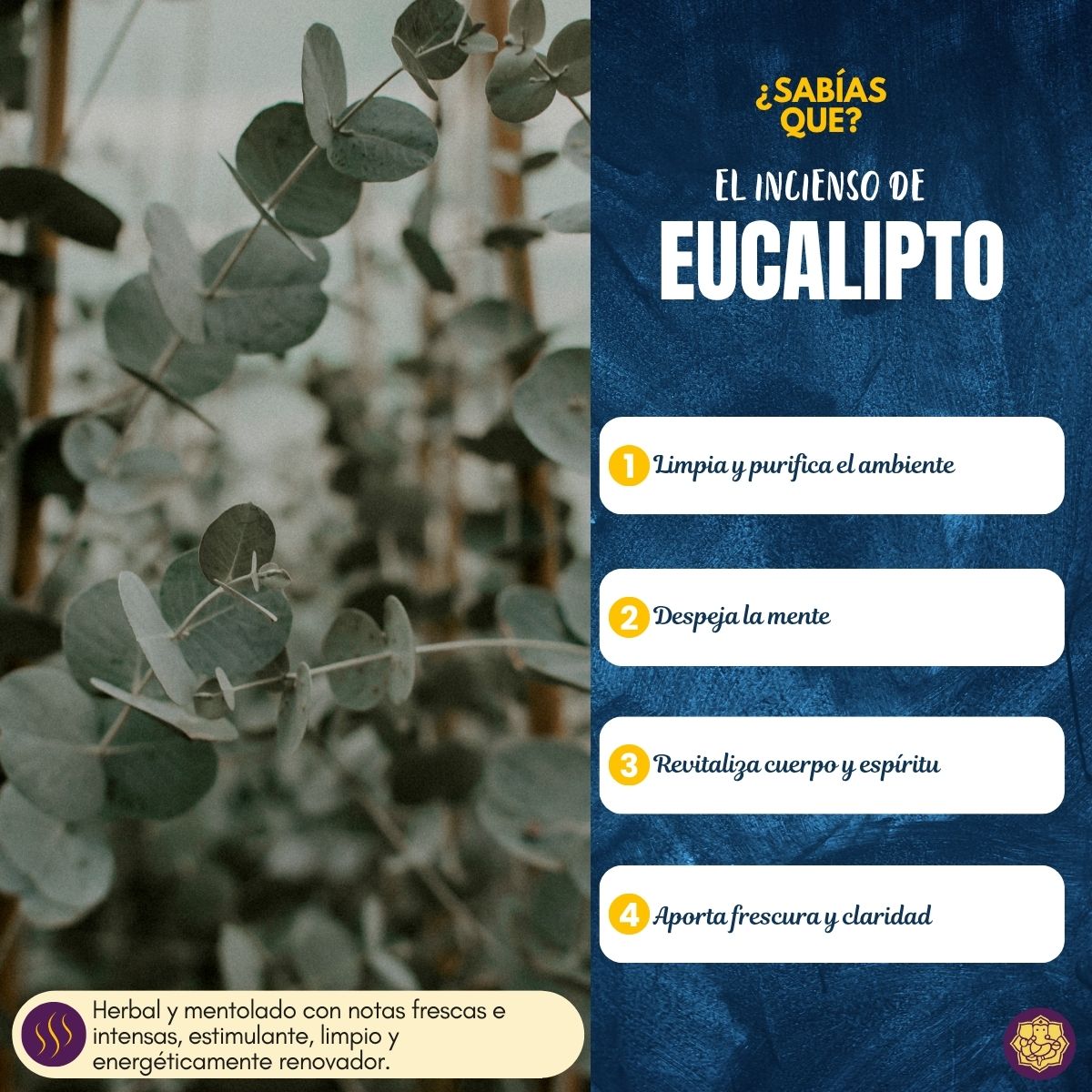 Incienso Eucalyptus