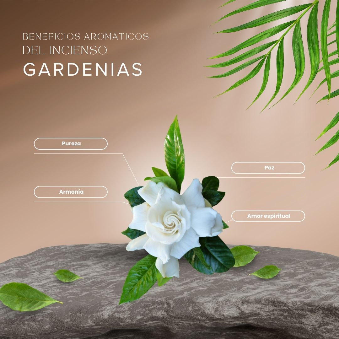 Mini Tibetano Gardenias Flores Blancas