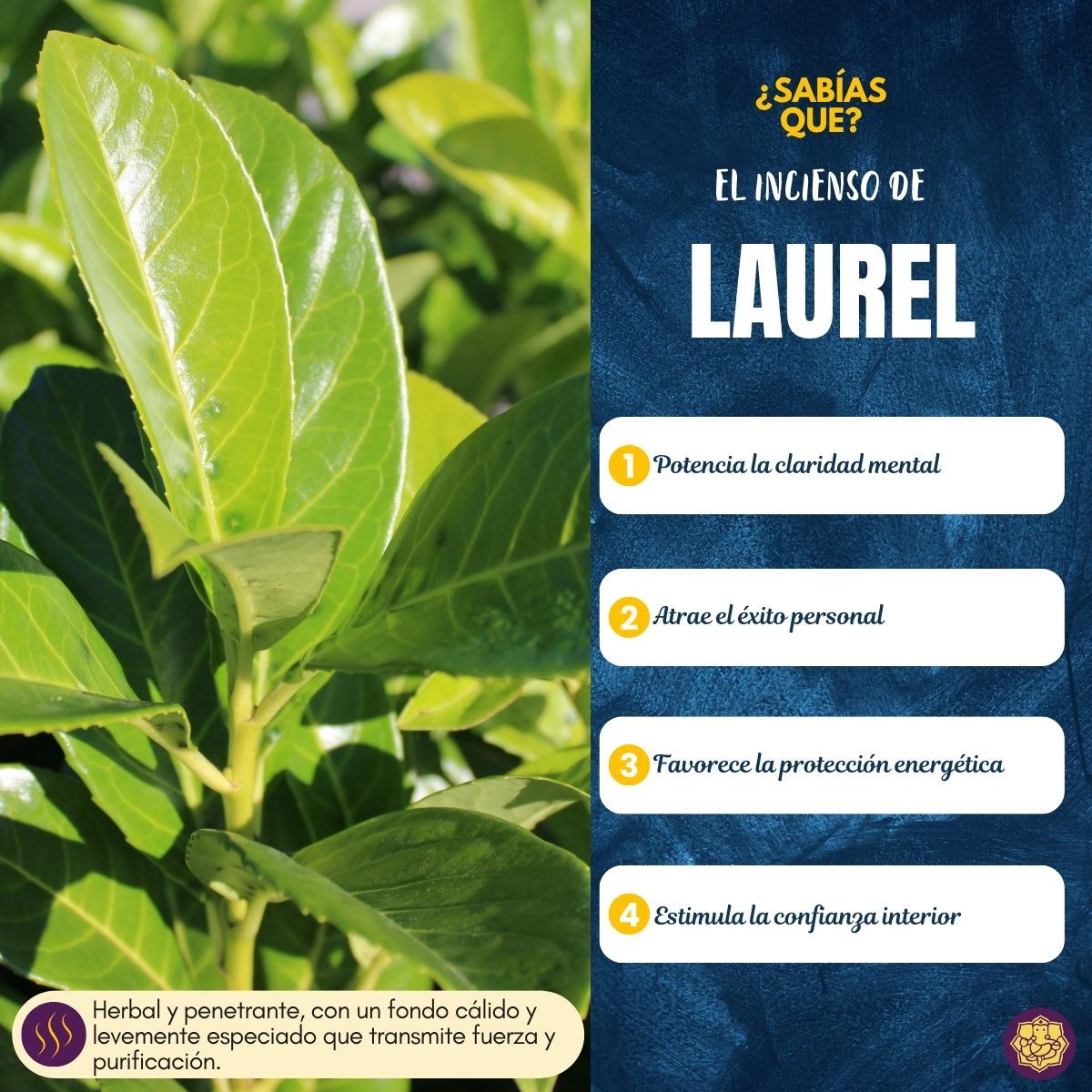 Incienso Masala Frutal Laurel