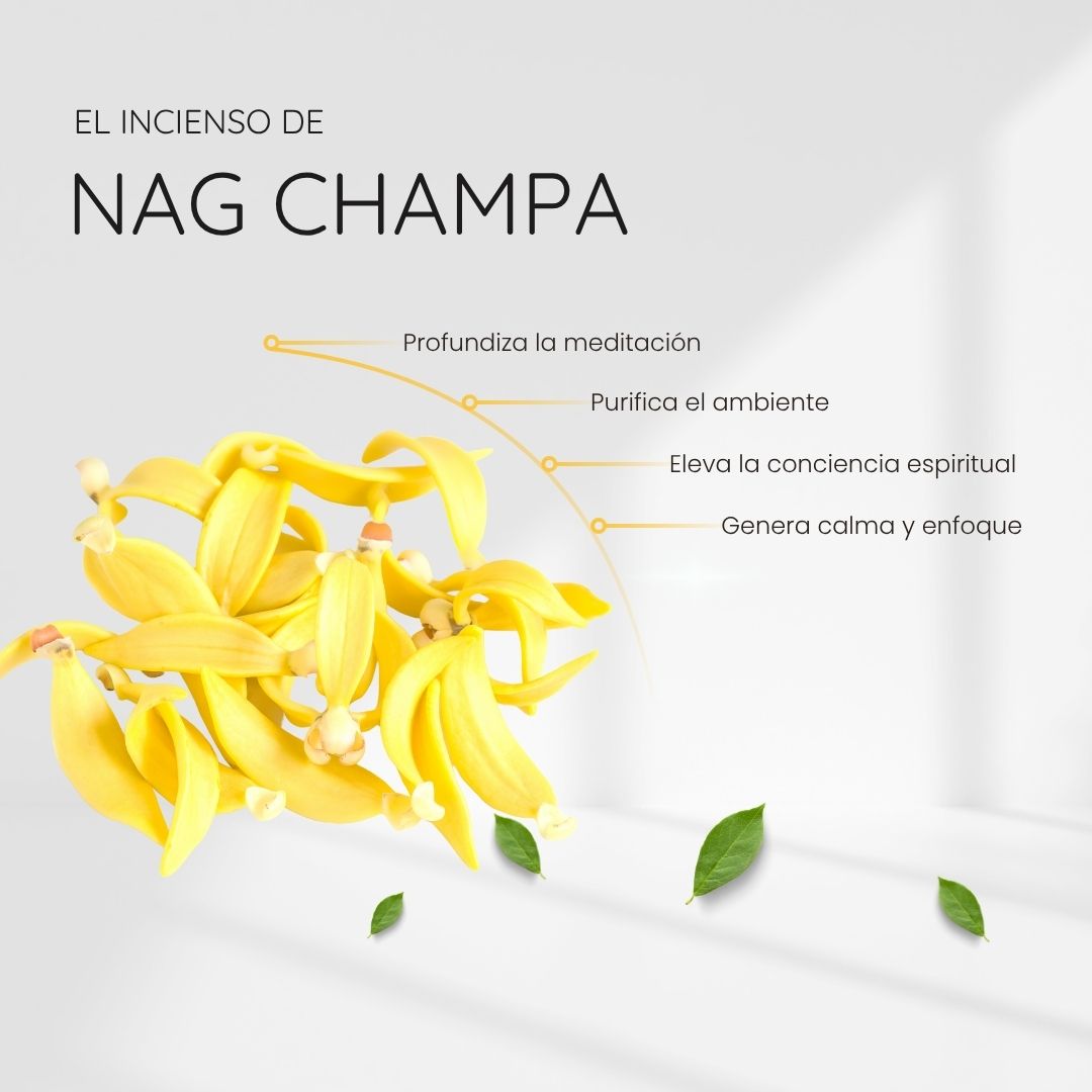 Incienso Nag Champa con Amatista