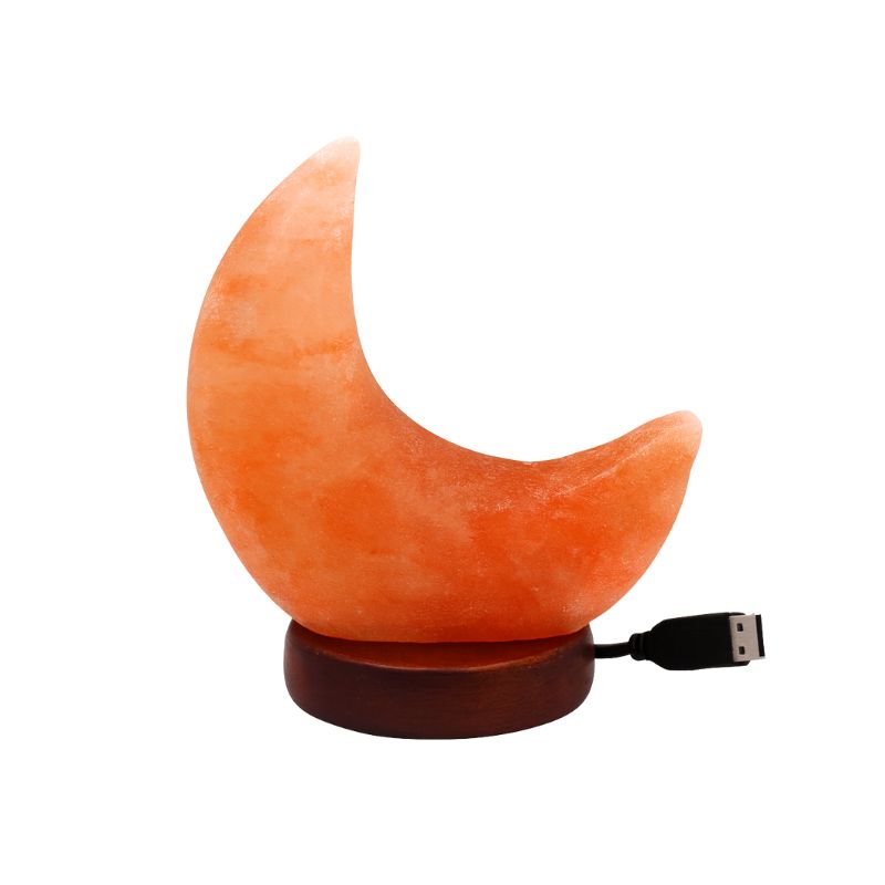 Lampara de Sal del Himalaya Luna Led Mini