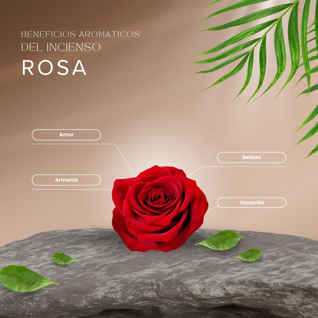 Mini Tibetano Rosa Real