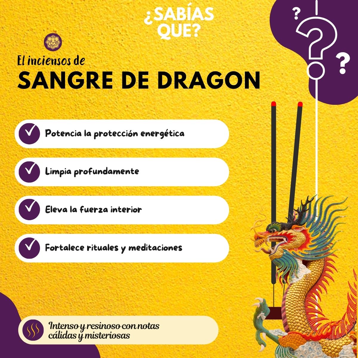 Incienso en Cono Sangre de Dragon