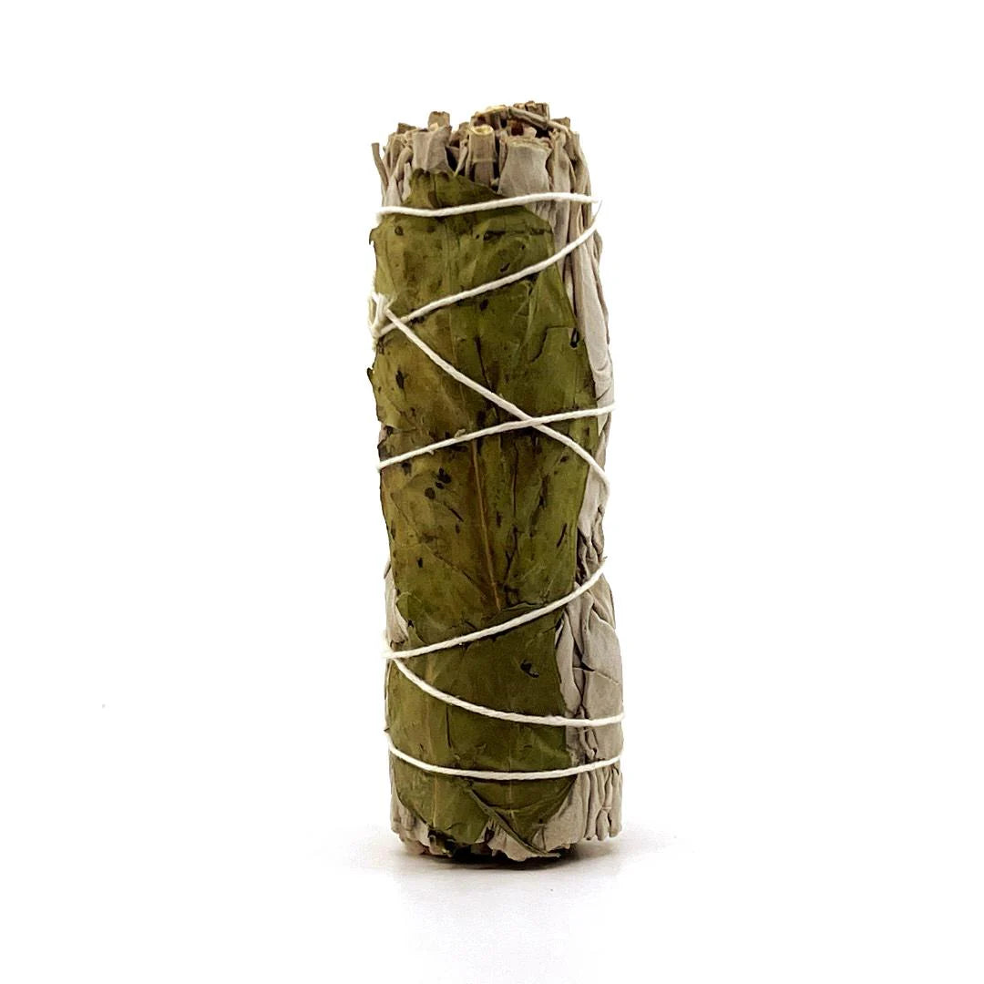 Sahúmo de Salvia Blanca con Menta