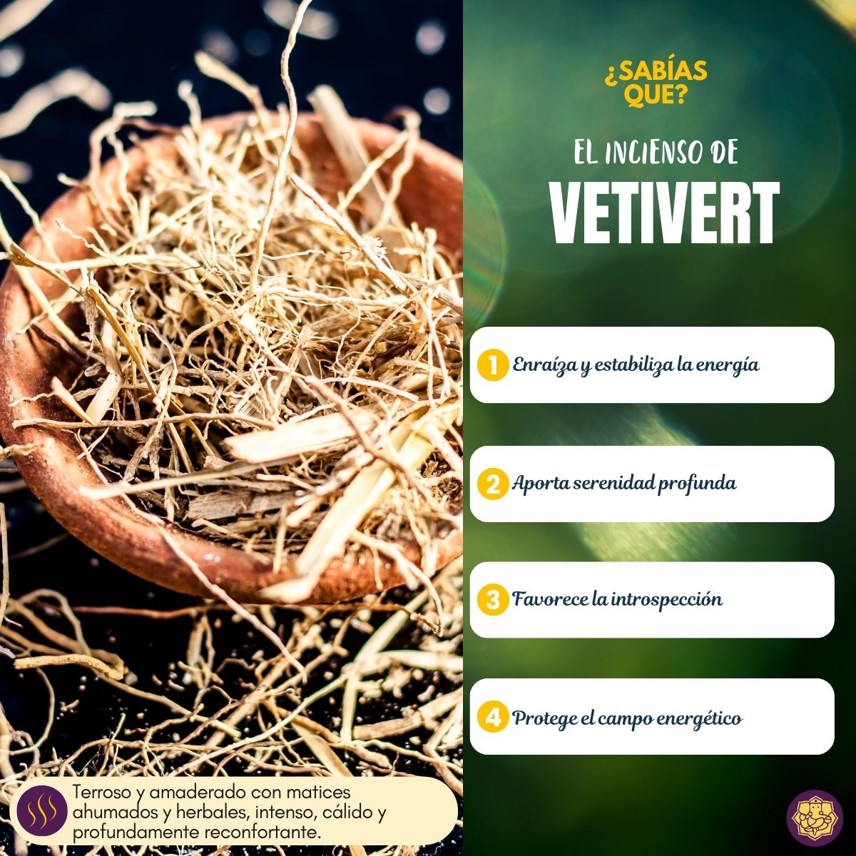 Incienso Popular Vetiver