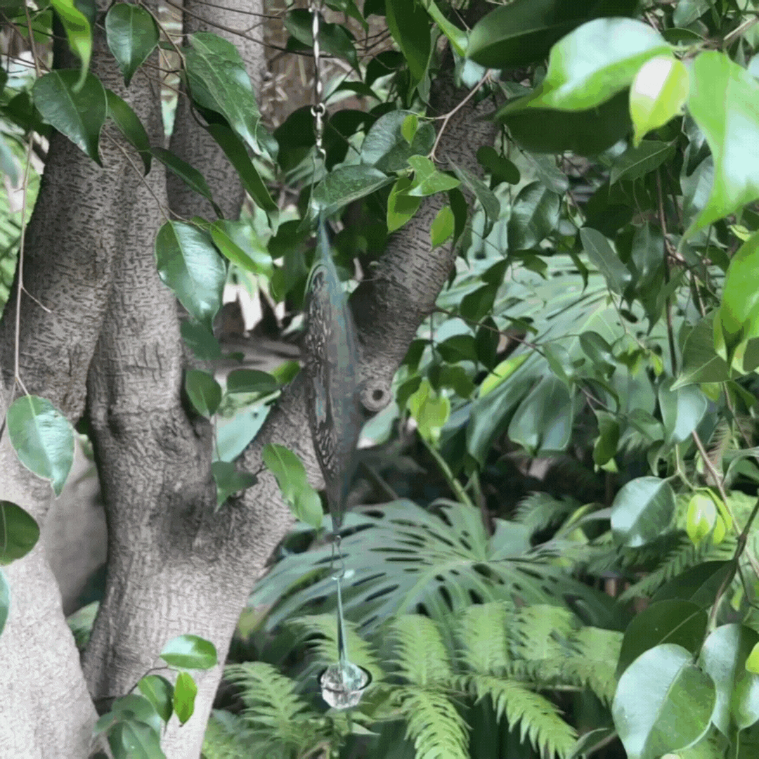 Anillo de Viento - Árbol de la Vida