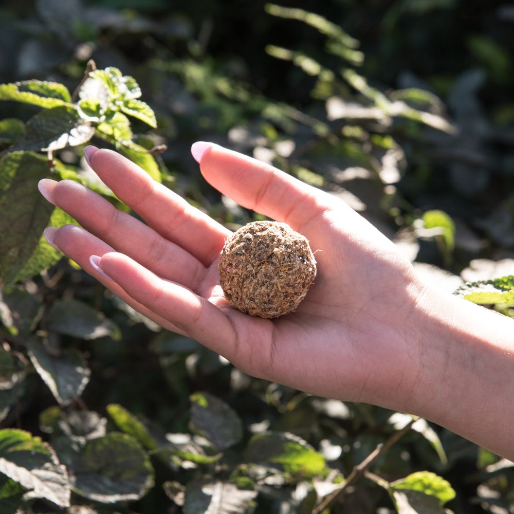 Bomba Herbal XL Purificación