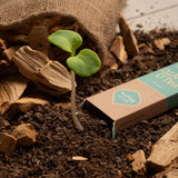 Sahumerio Palo Santo con Fresias