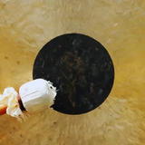 Gong Chau 30cm