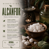 Aceite Aromático Alcanfor