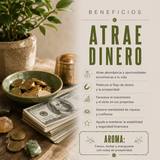 Incienso Premium Atrae Dinero