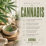 Incienso en Cono Cannabis