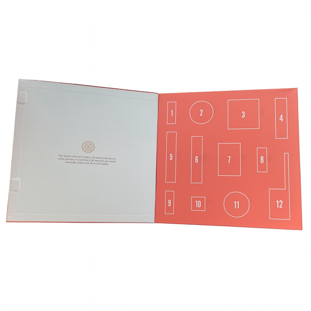 Calendario de Adviento Song Of India