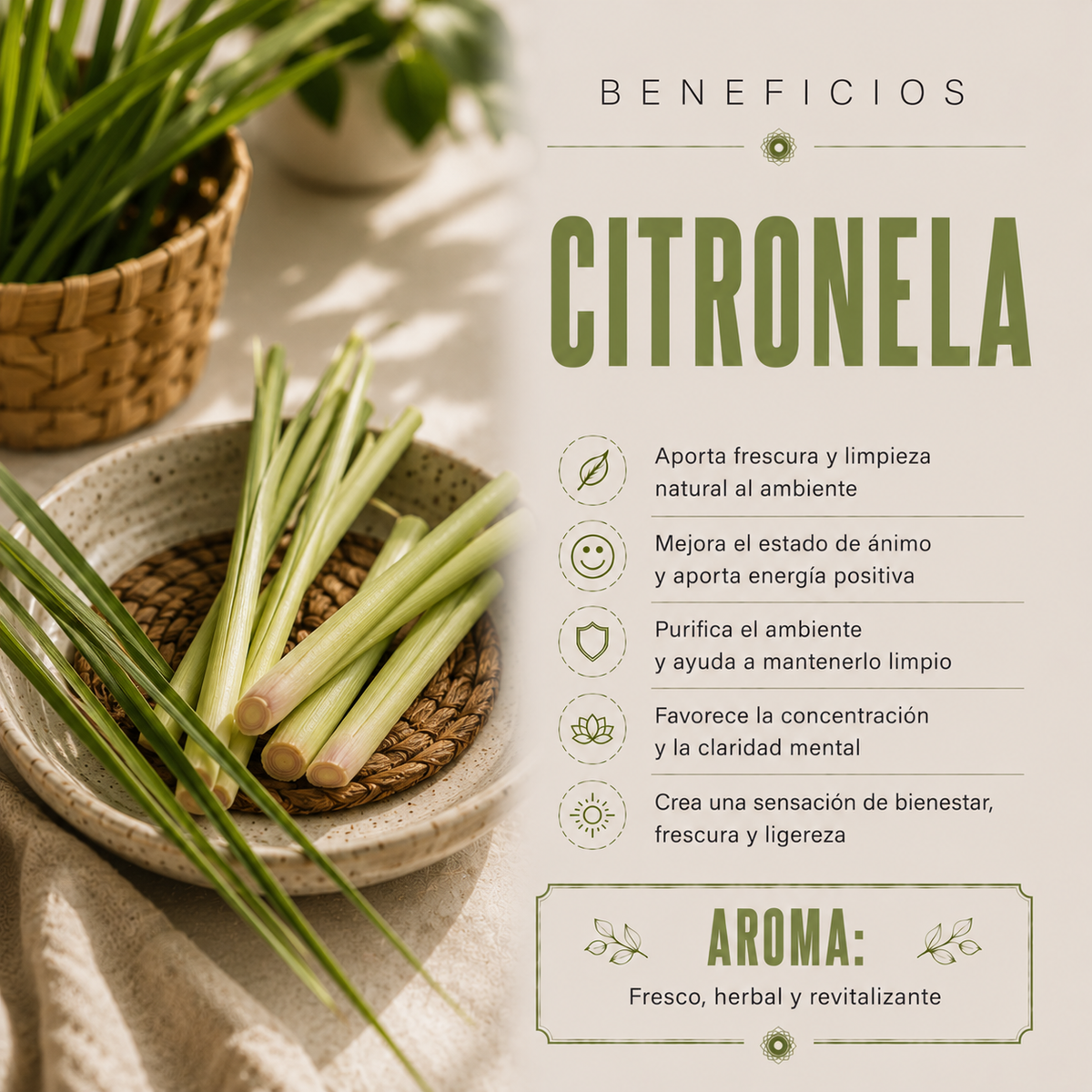 Incienso Fit Citronela