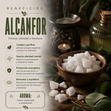 Incienso Alcanfor