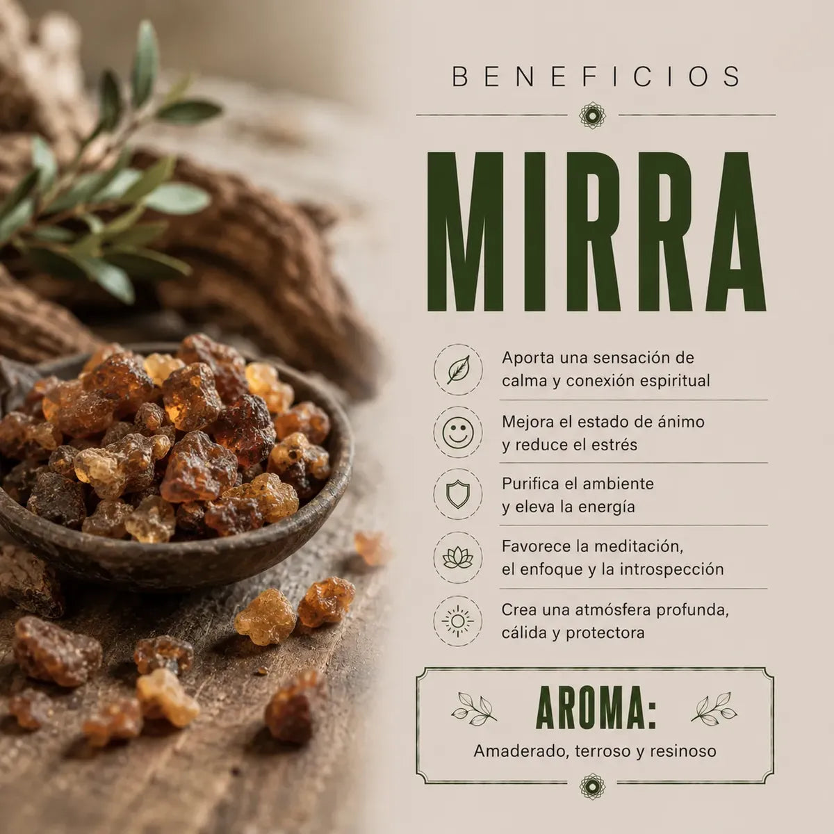Incienso Duo Nag Champa y Fragrant Mirra