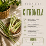 Incienso Duo Nag Champa y Green Citronella