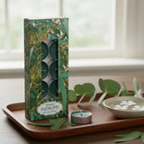 Vela Tealight  Eucalyptus