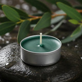 Vela Tealight  Eucalyptus