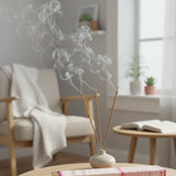 Incienso Premium Lotus