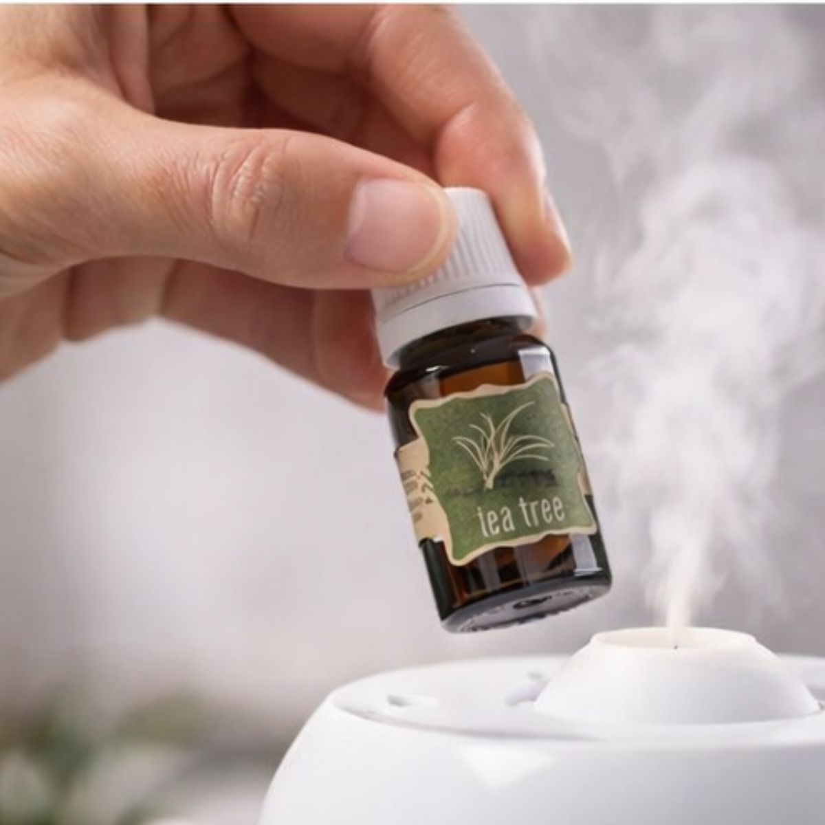 Aceite Esencial Tea Tree