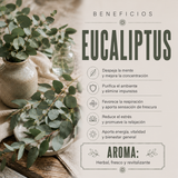 Aceite Aromático Eucalipto