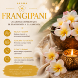 Incienso Orgánico Frangipani