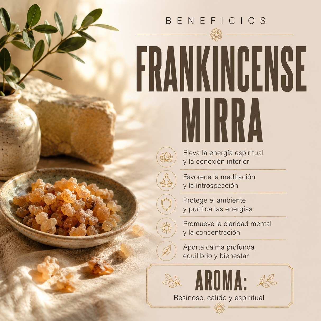 Resina Frank Mirra 1 Kg